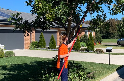 Tree Pruning Newcastle
